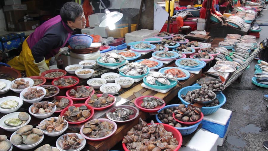 Jagalchi Fish Market