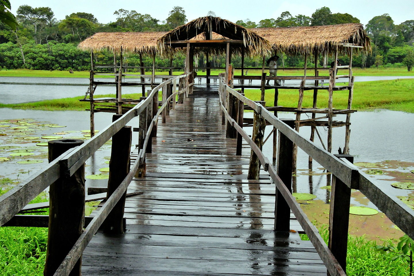 Janauari Ecological Park