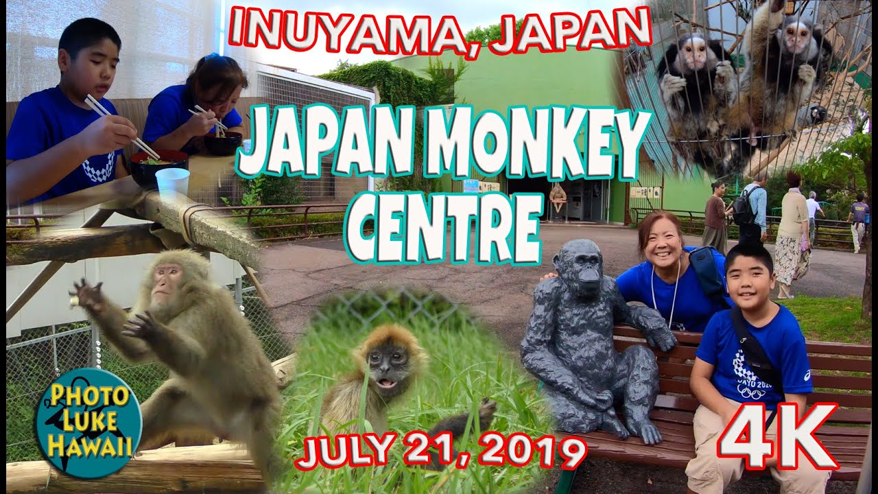 Japan Monkey Centre