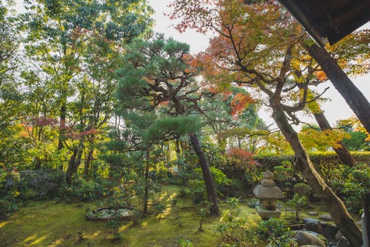 Japanese Garden at Micke Grove Park