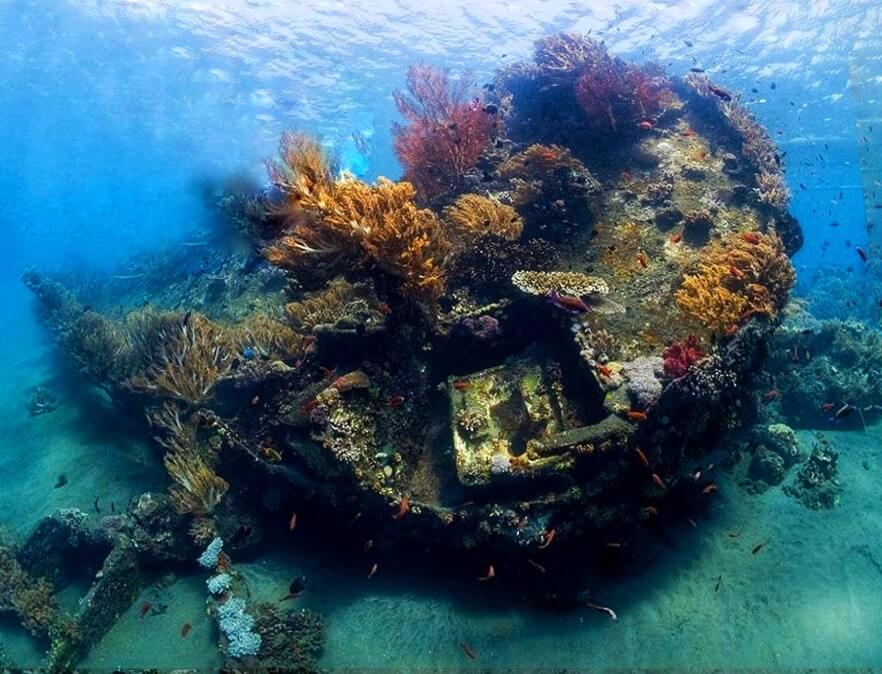 Japanese Shipwreck