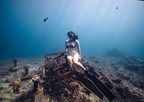 Japanese Shipwreck Point