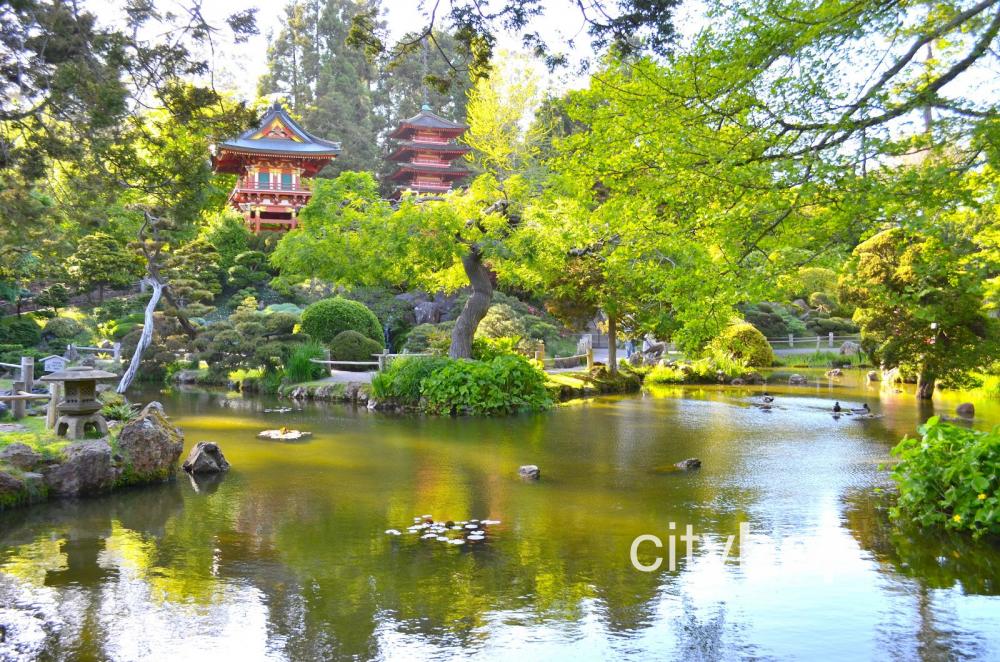 Japanese Tea Garden