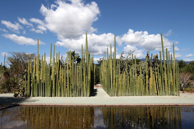 Jardín Etnobotánico de Oaxtepec