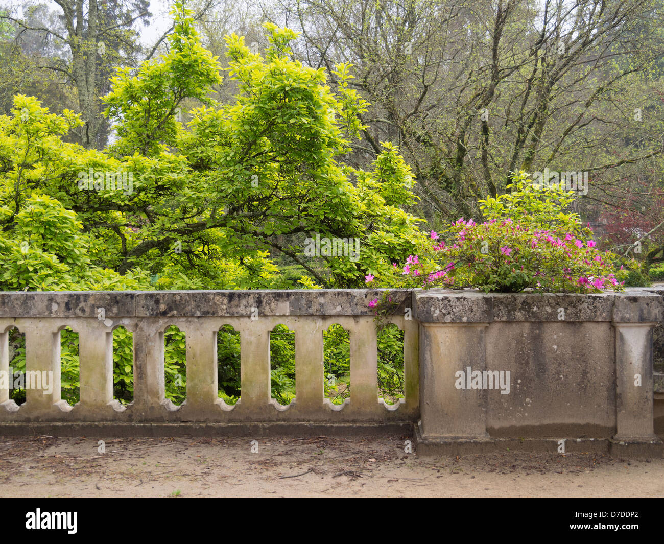 Jardim Botanico