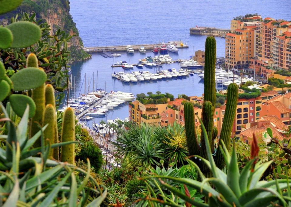 Jardin Exotique de Monaco