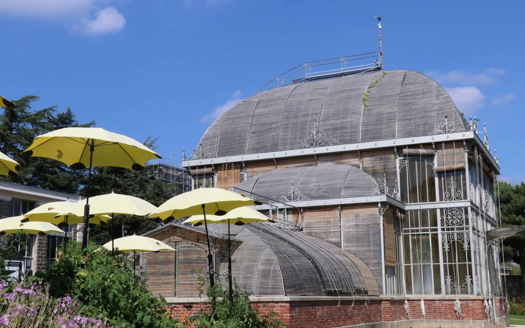 Jardin des Plantes