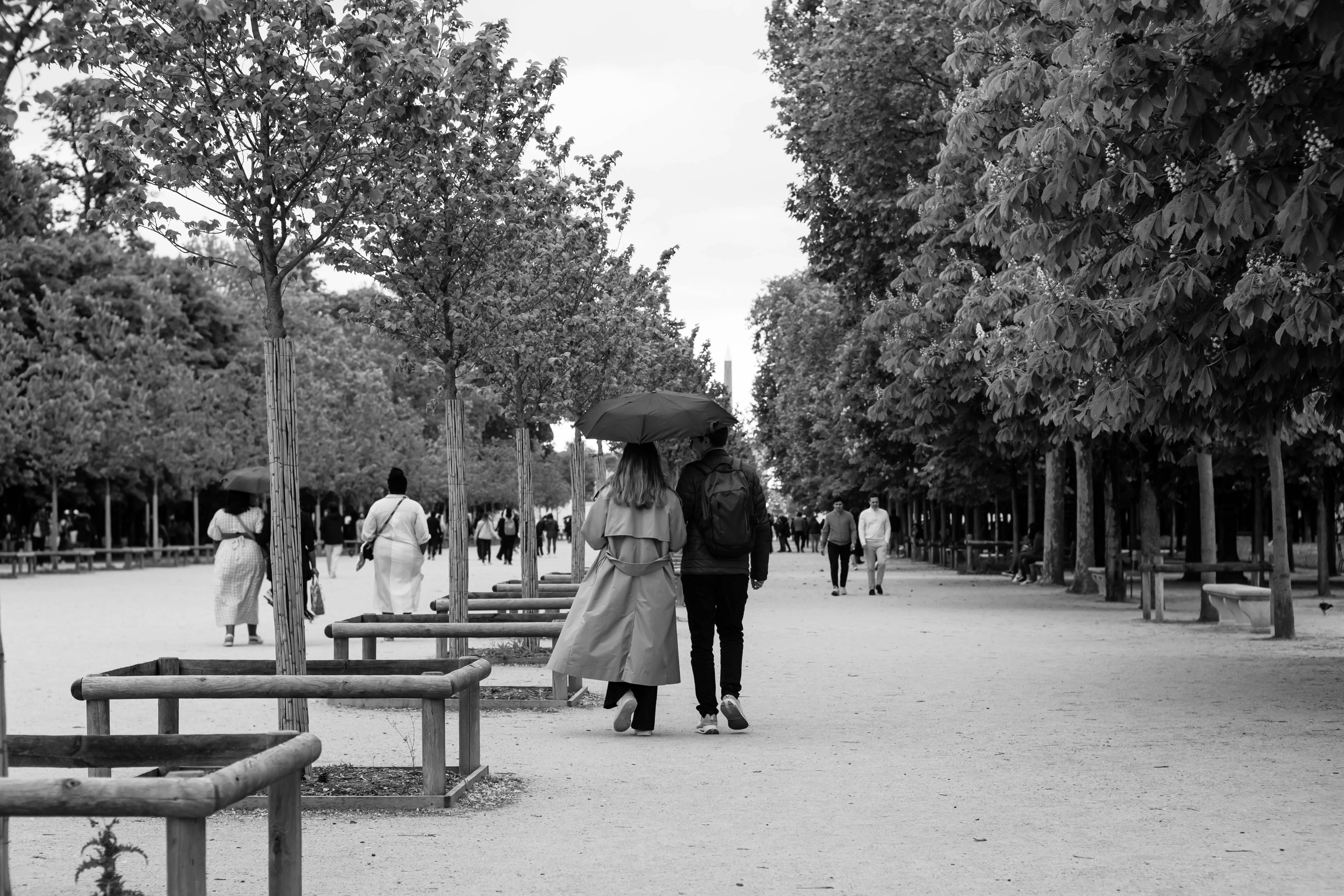 Jardin des Simples et des Fleurs de la Renaissance