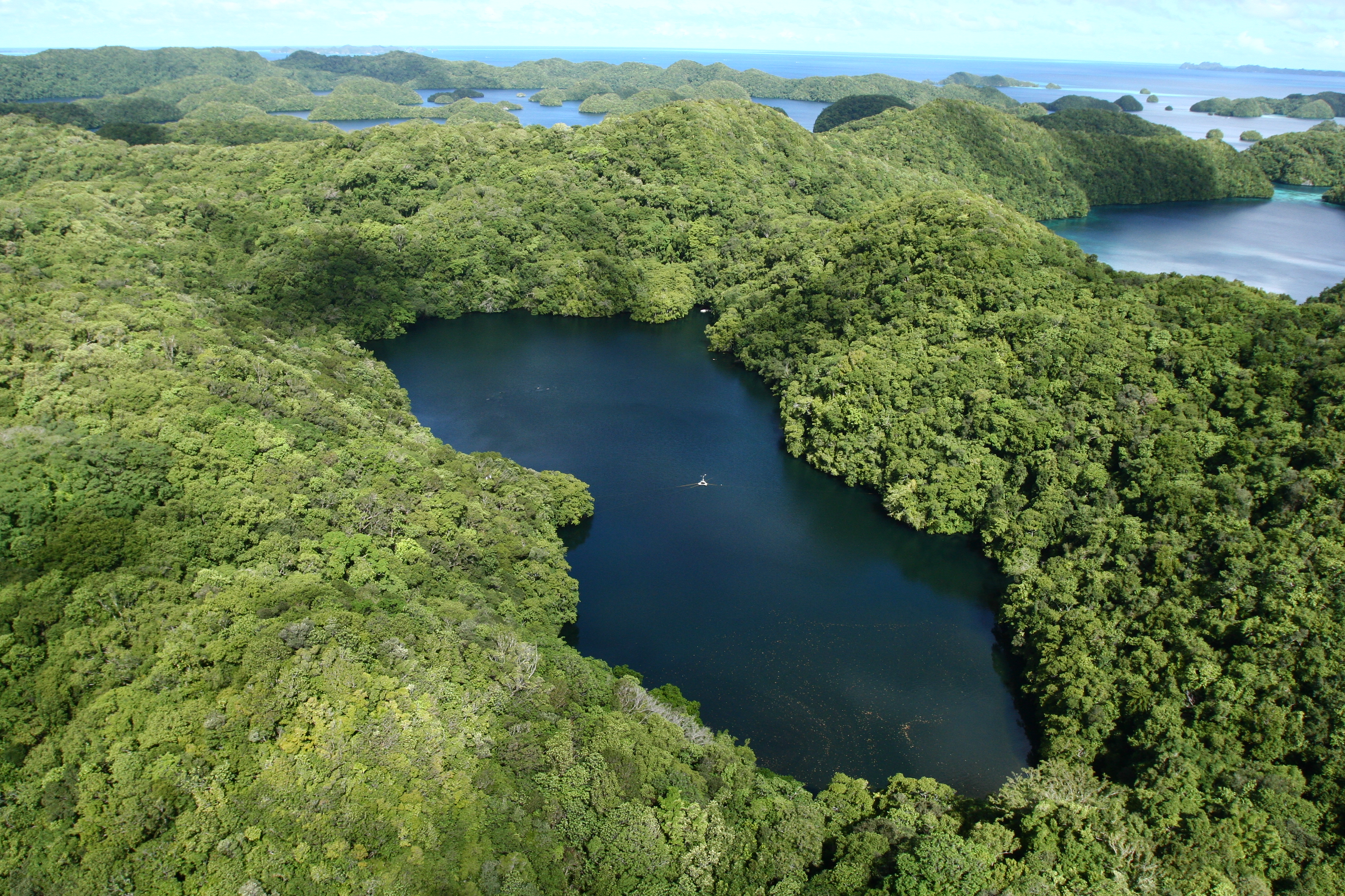 Jellyfish Lake