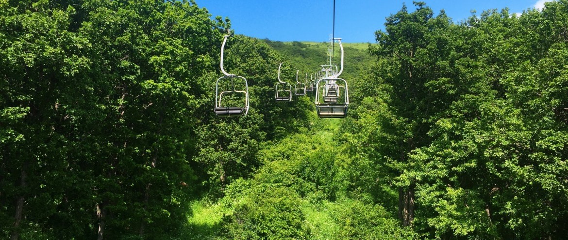 Jermuk Forest Park