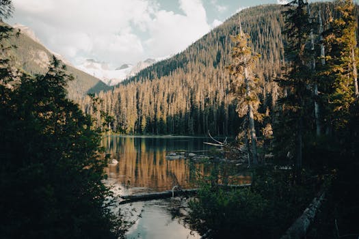 Joffre Lakes Provincial Park