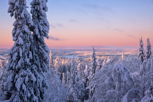 Kakslauttanen Arctic Resort