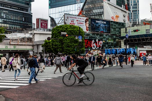 Kamaboko Street