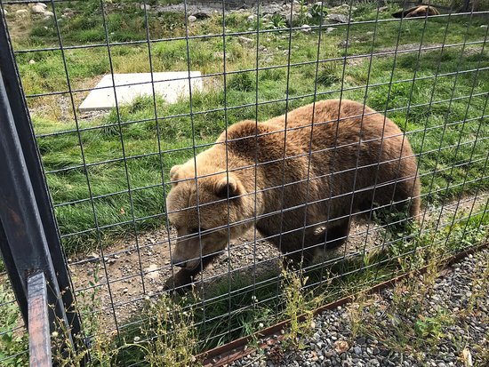 Kamloops Wildlife Park