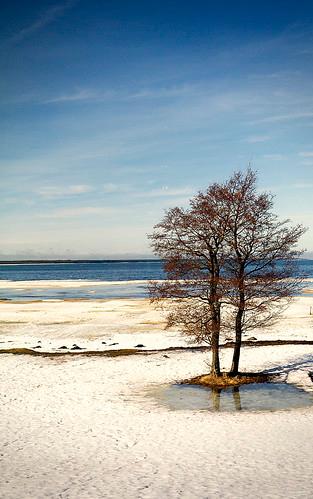 Kardla Beach at Kardla, Estonia