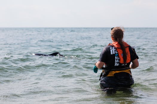 Karen Beasley Sea Turtle Rescue and Rehabilitation Center