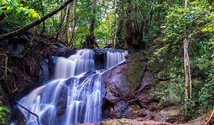 Karura Forest