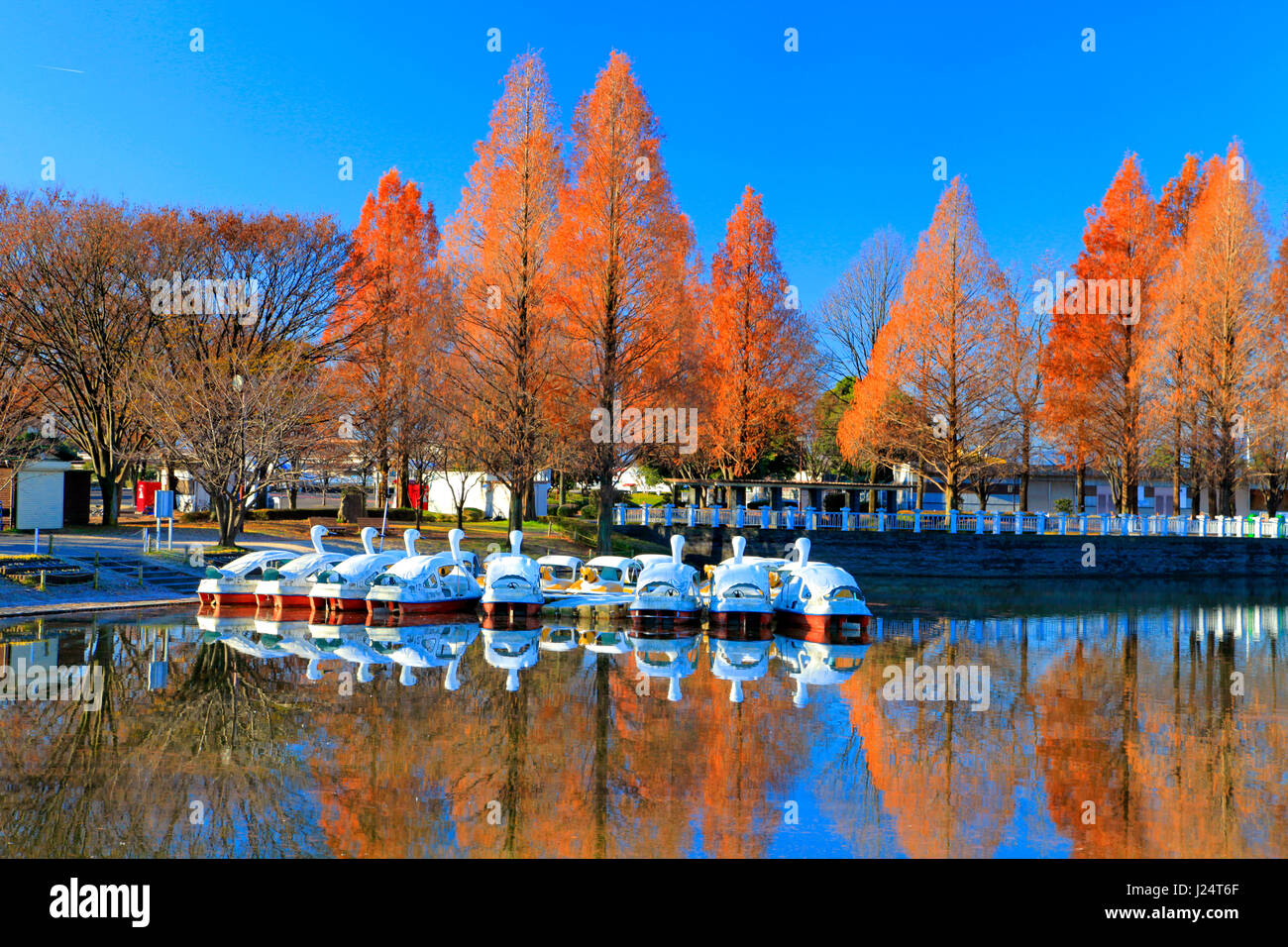 Kawagoe Aquatic Park