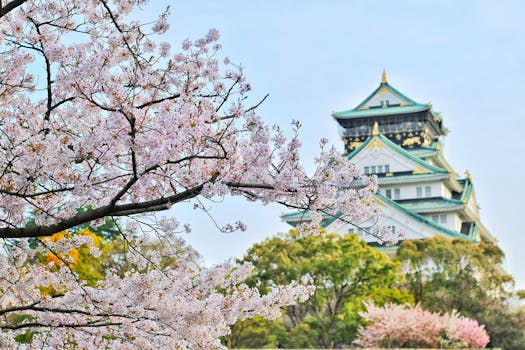 Kawagoe Castle Park