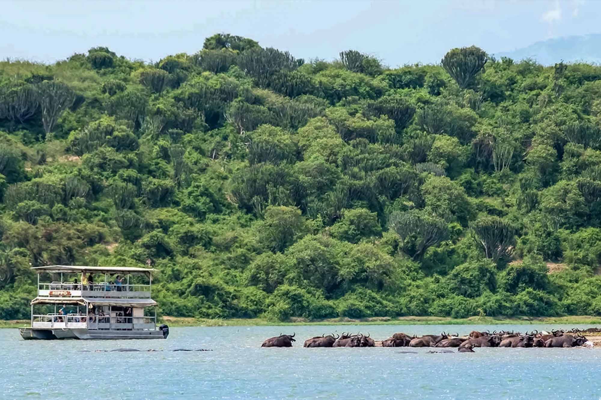 Kazinga Channel Boat Cruise