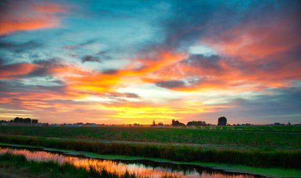 Kelsey Creek Farm