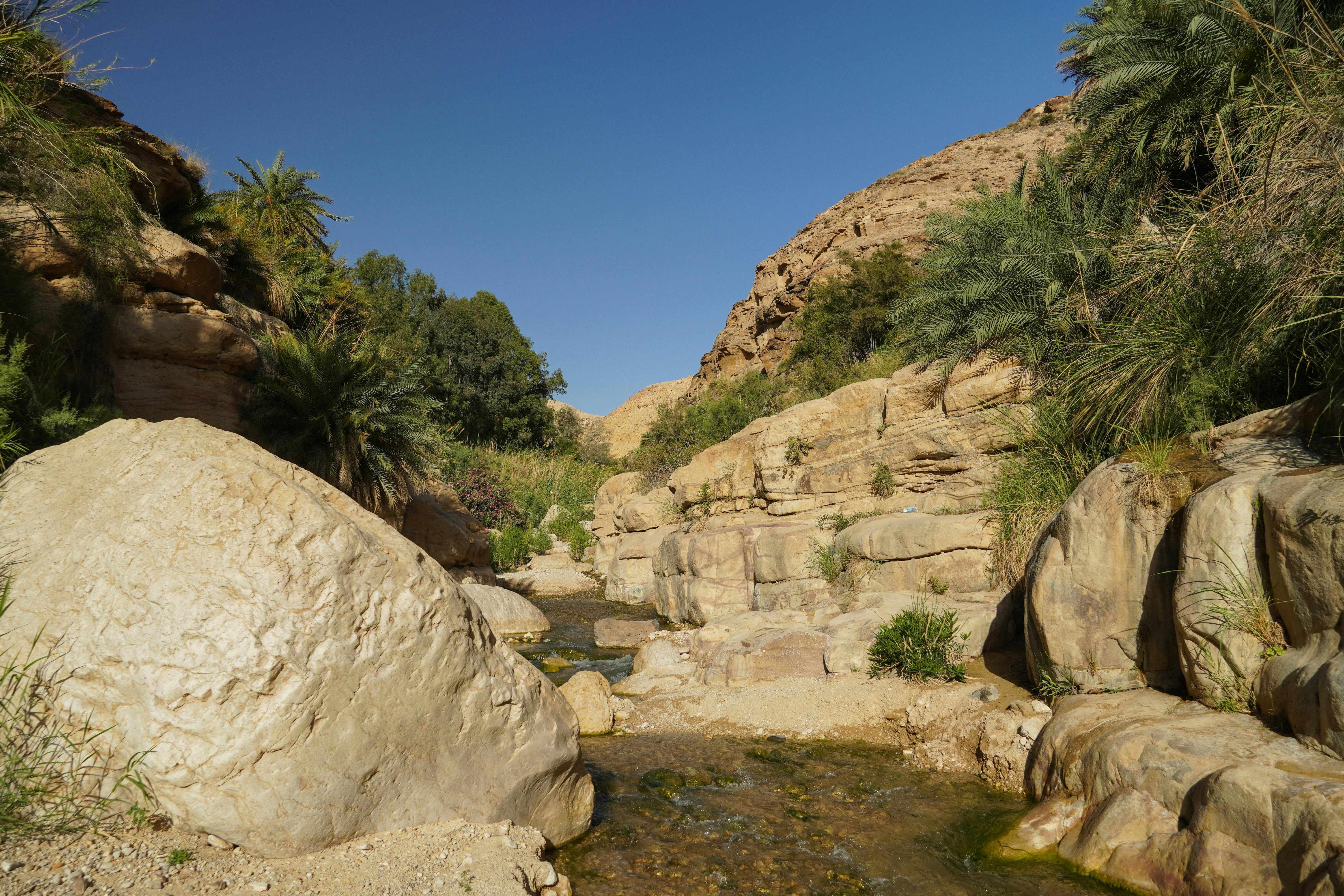 Kerak Castle