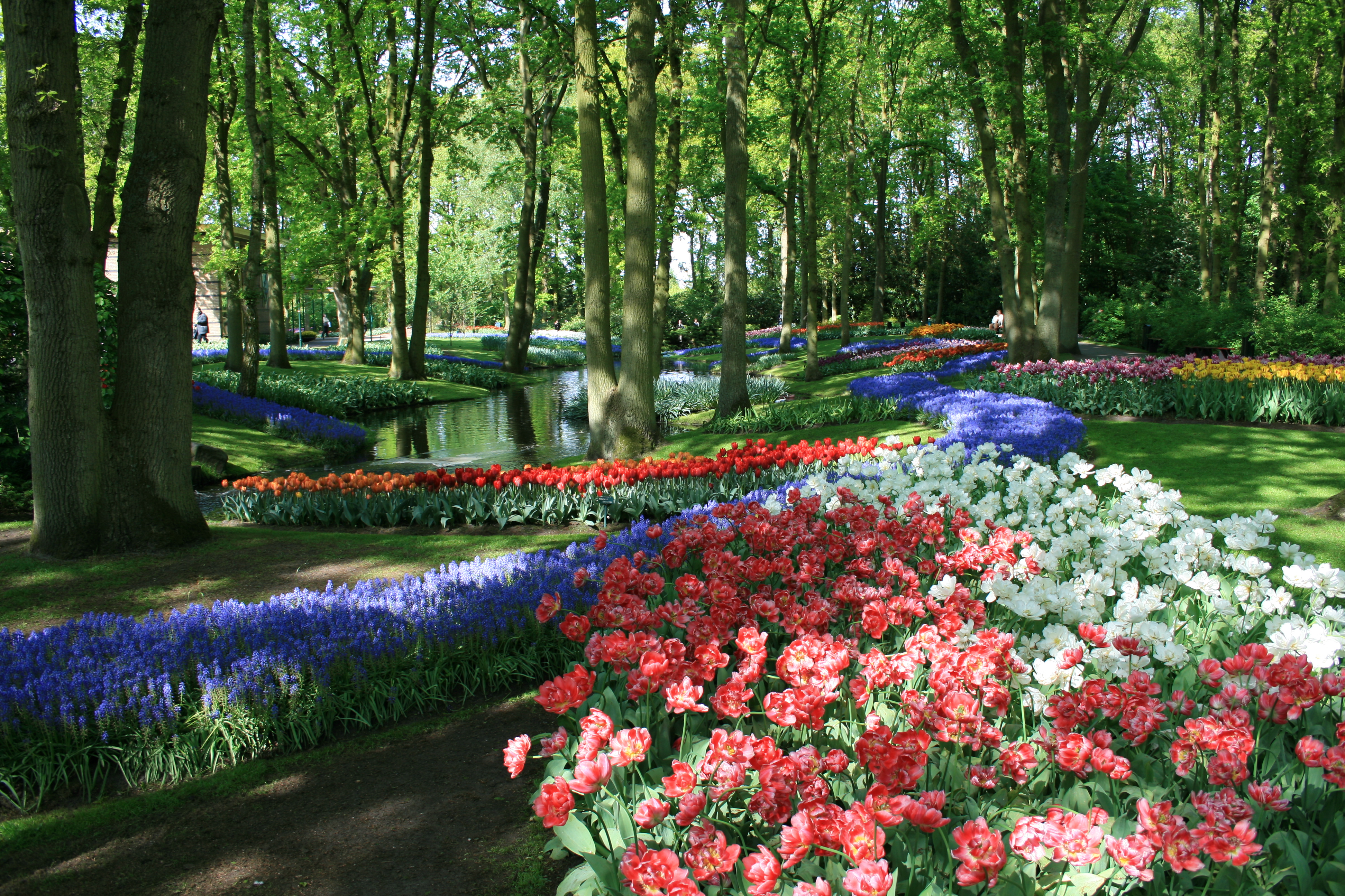 Keukenhof Gardens