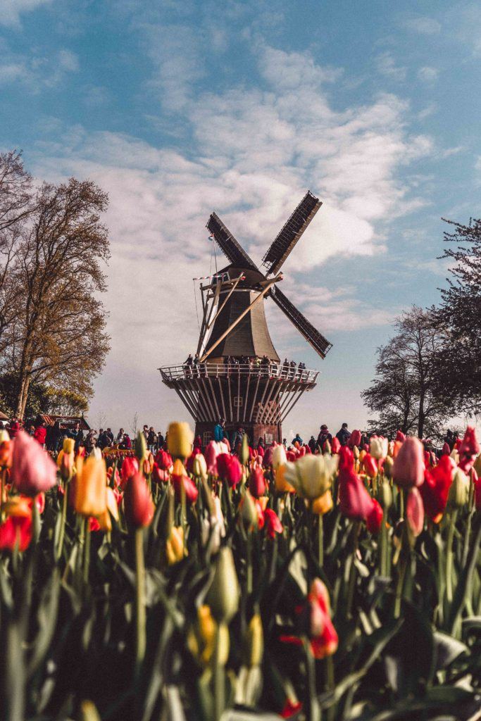 Keukenhof Gardens (Day Trip)