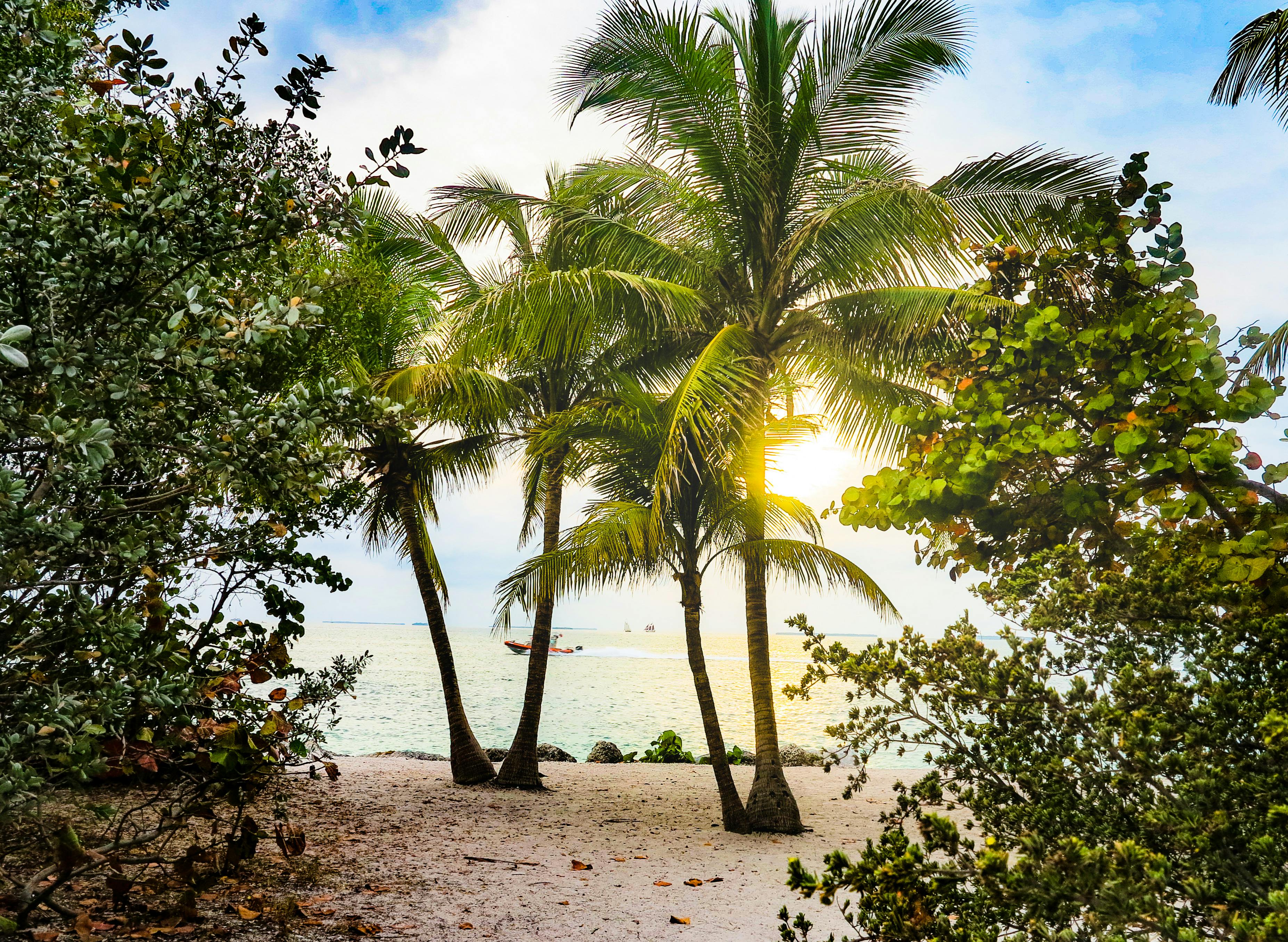 Key West Botanical Garden