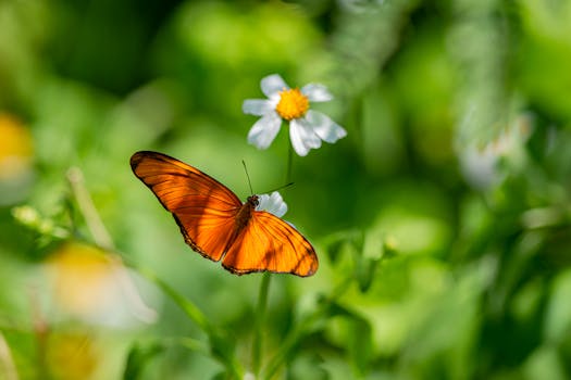 Khao Phanom Bencha National Park