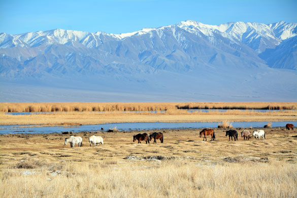 Khar Us Lake National Park