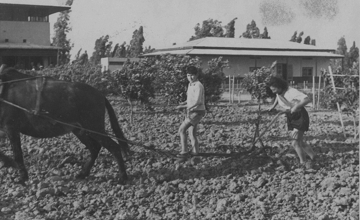 Kibbutz Degania Alef