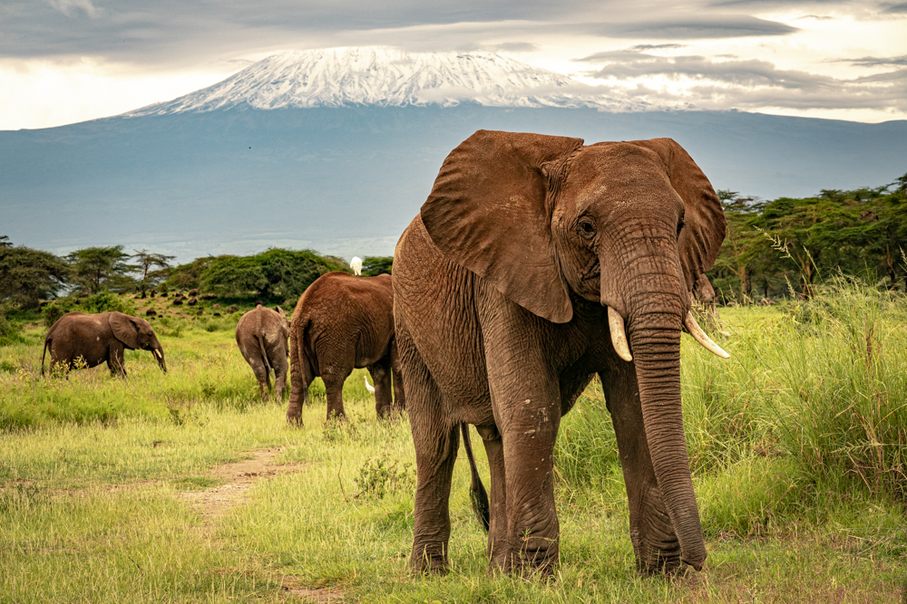 Kimana Sanctuary