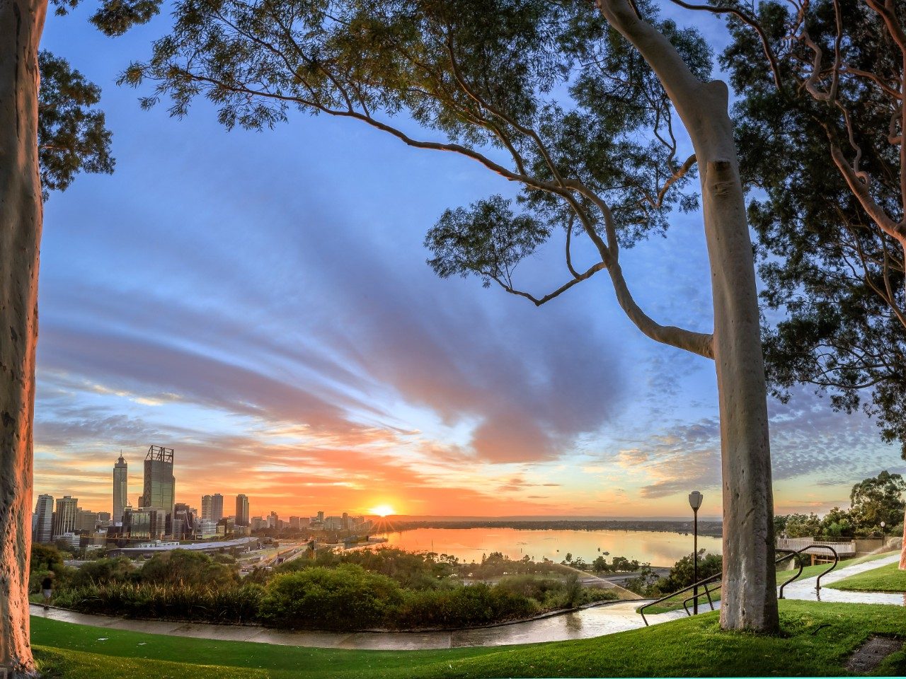 Kings Park and Botanic Garden