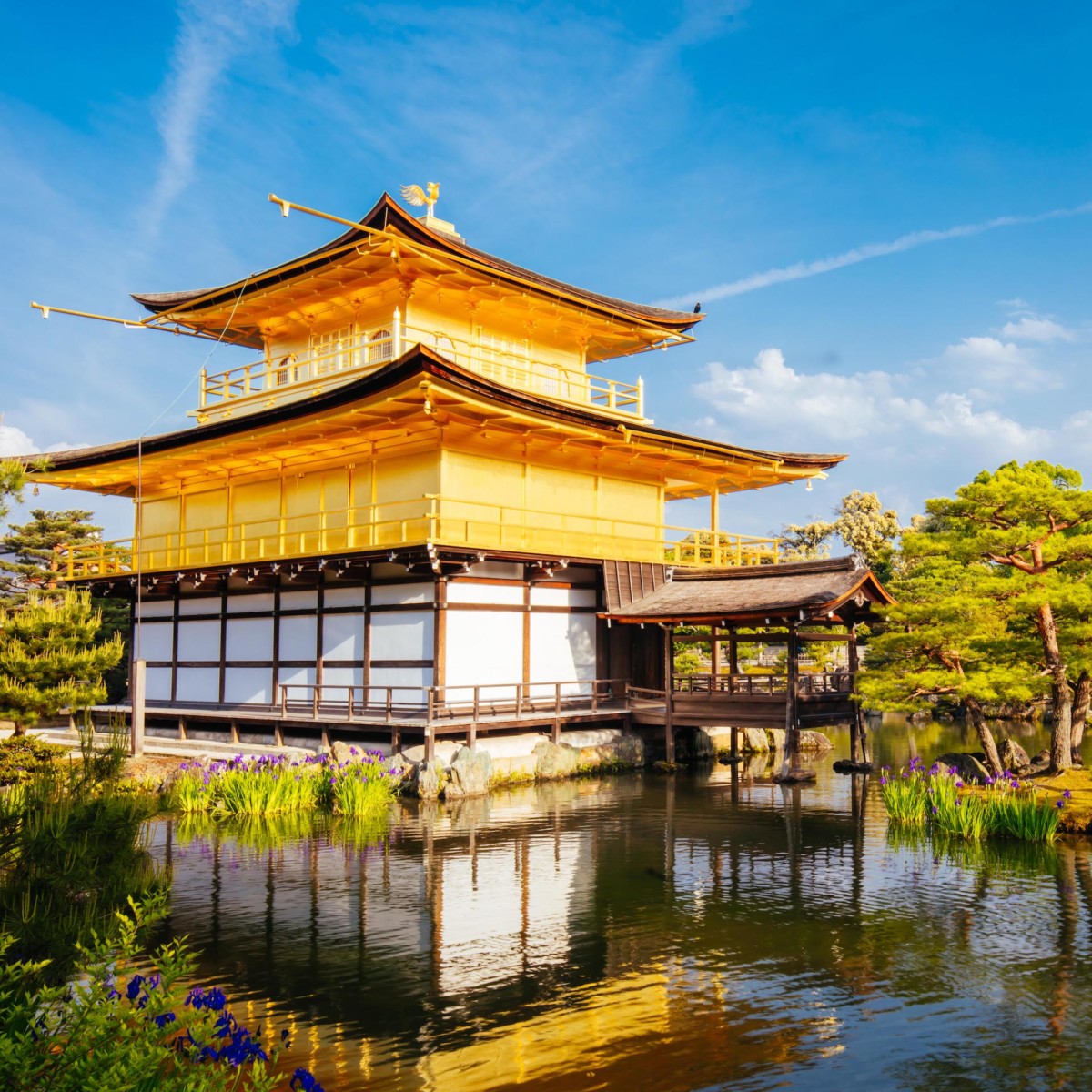 Kinkaku-ji Temple (Golden Pavilion)