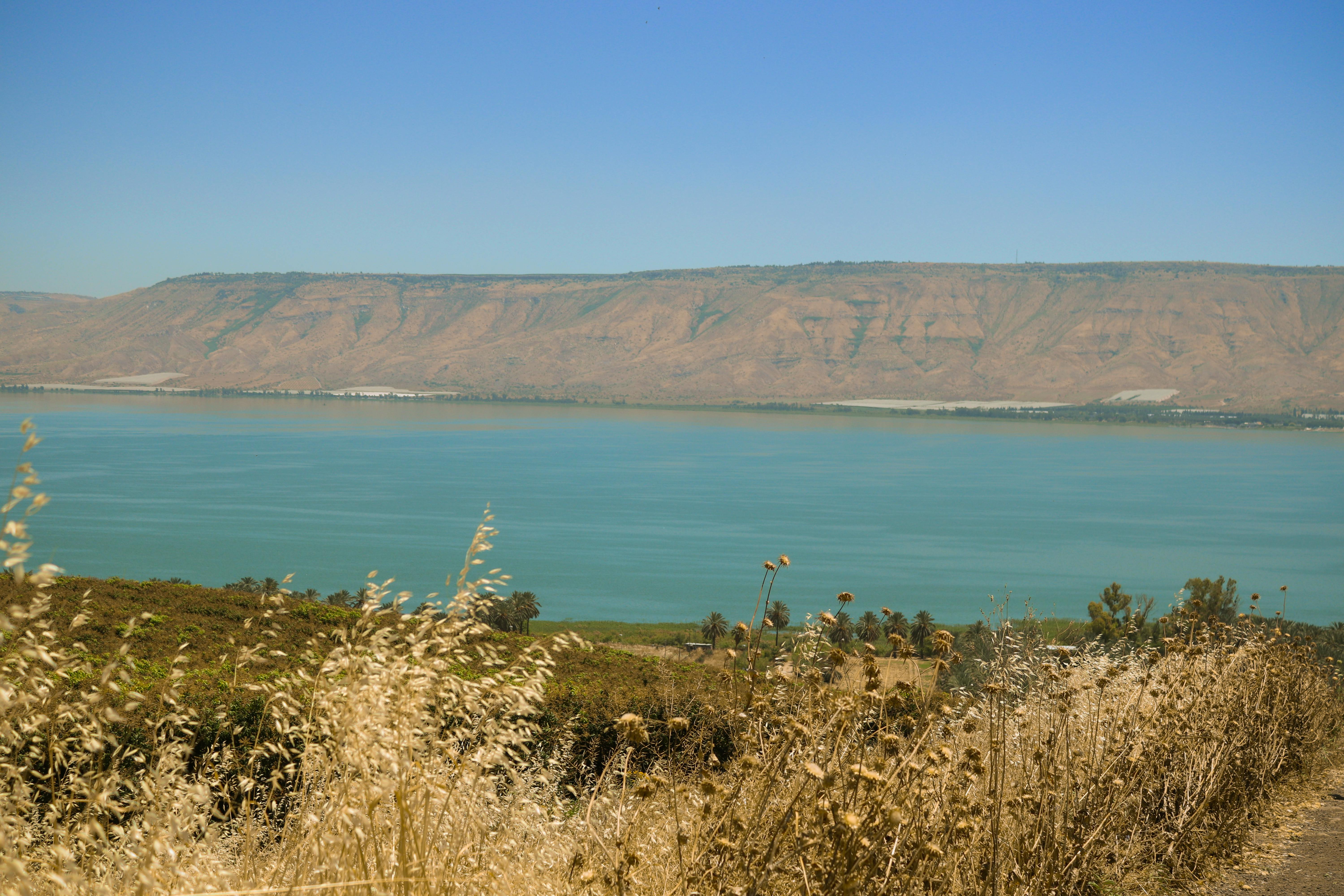 Kinneret Beach