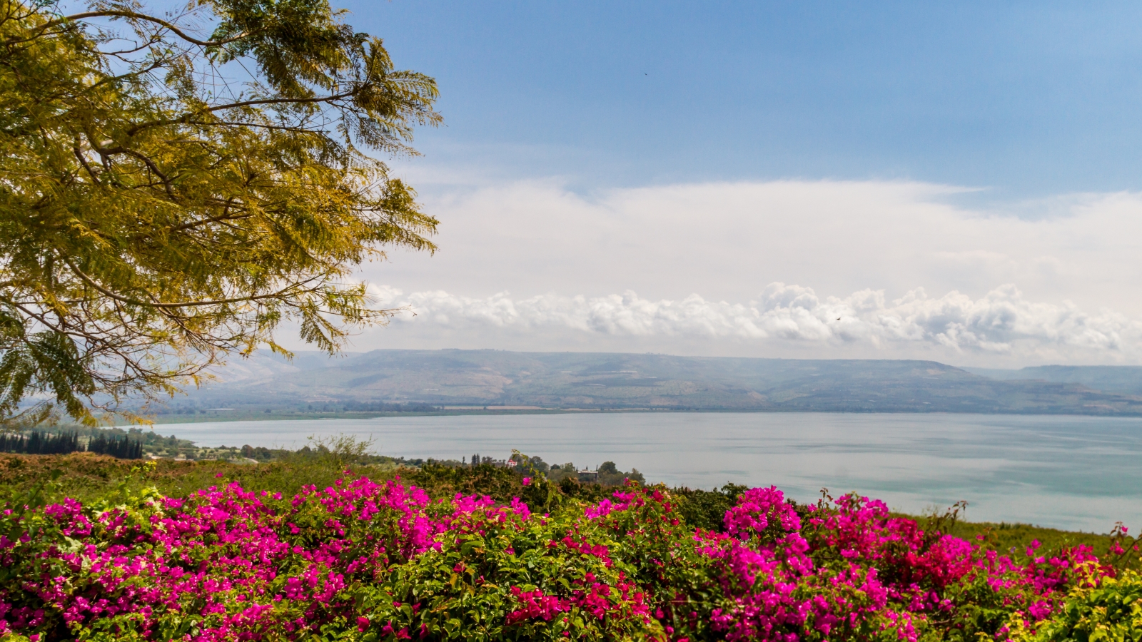 Kinneret Botanical Garden