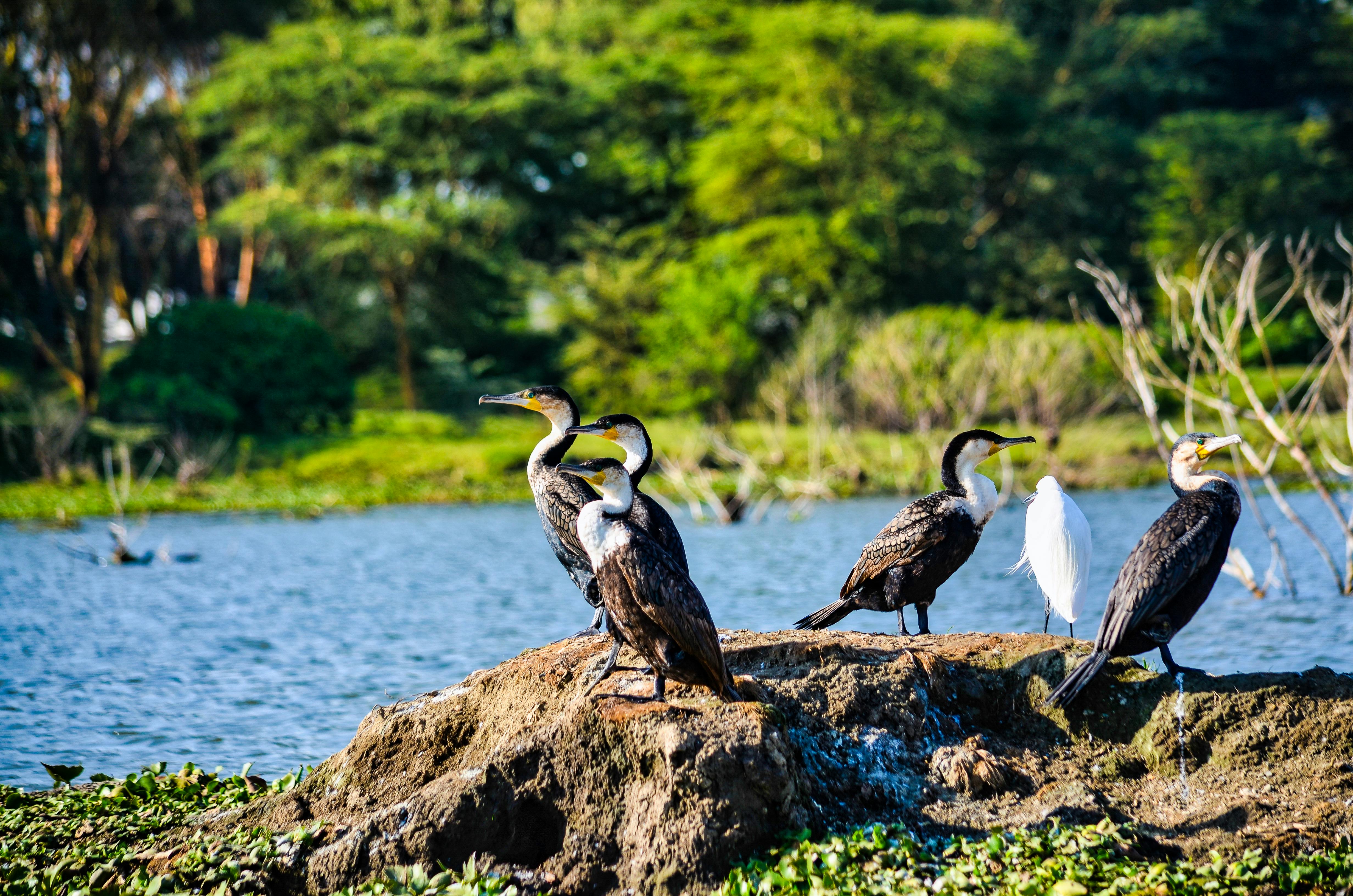 Kitulo National Park