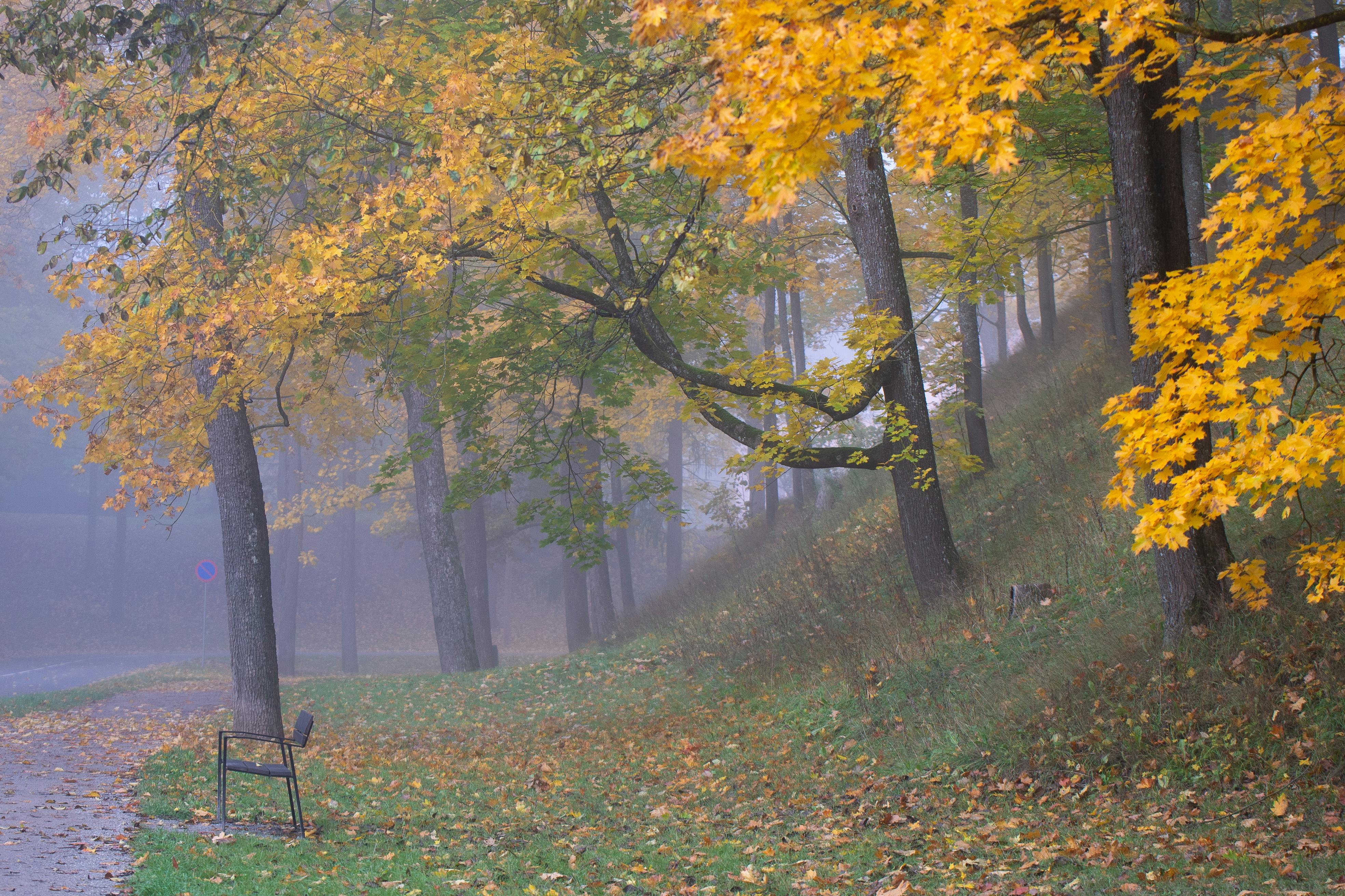 Kivioli Park