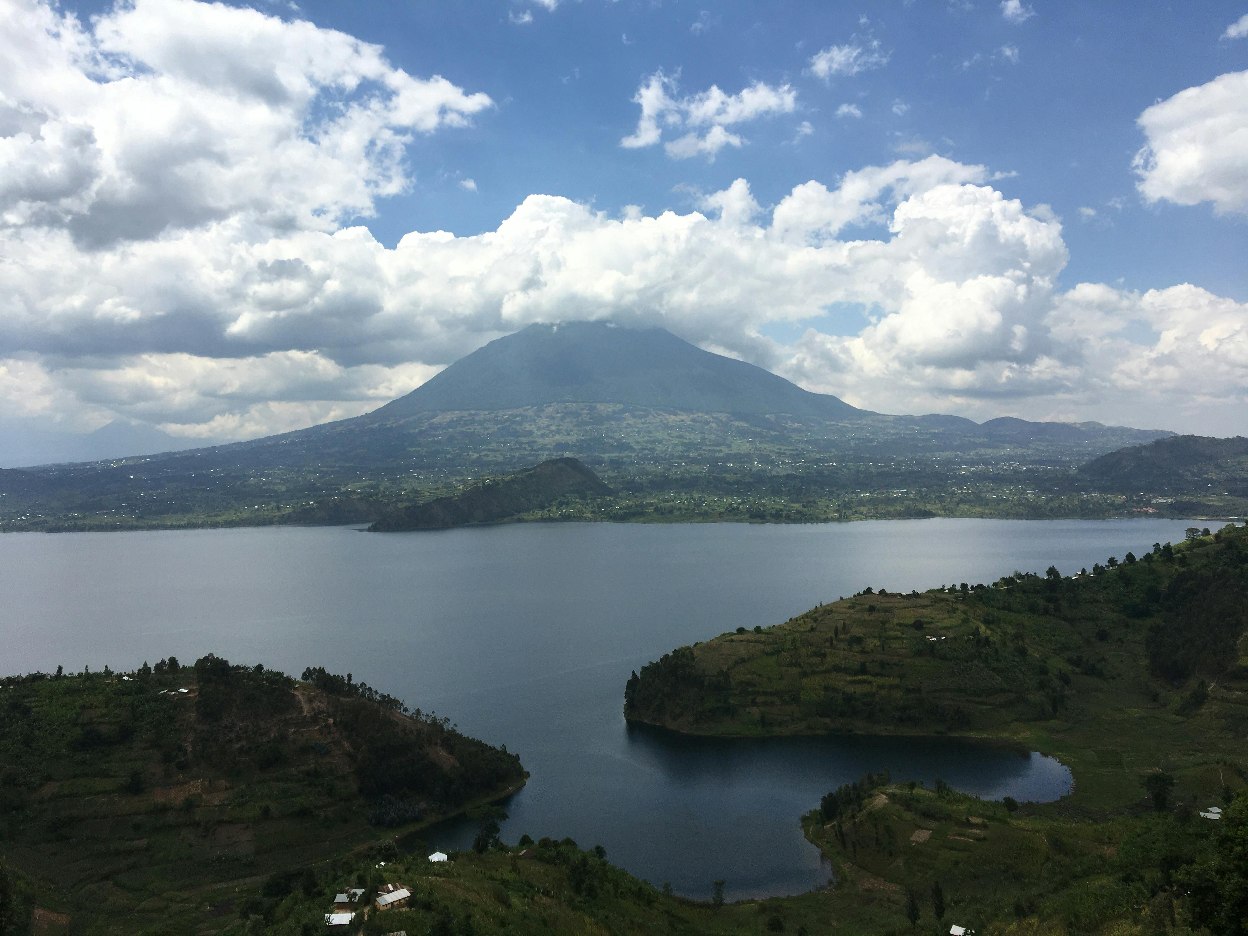 Kivu Belt Coffee Plantation