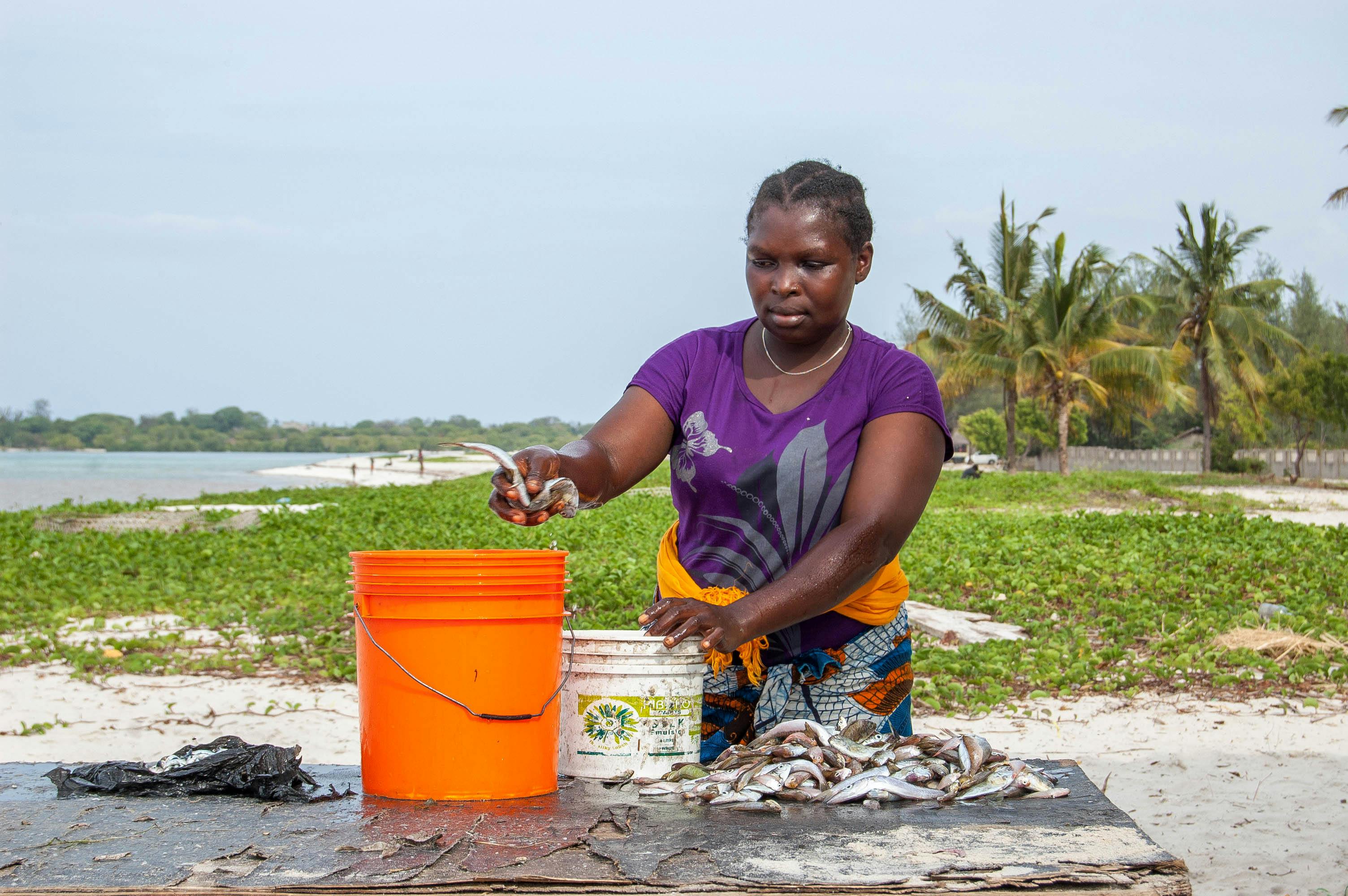 Kivukoni Fish Market