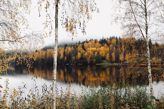 Klässbols Linneväveri