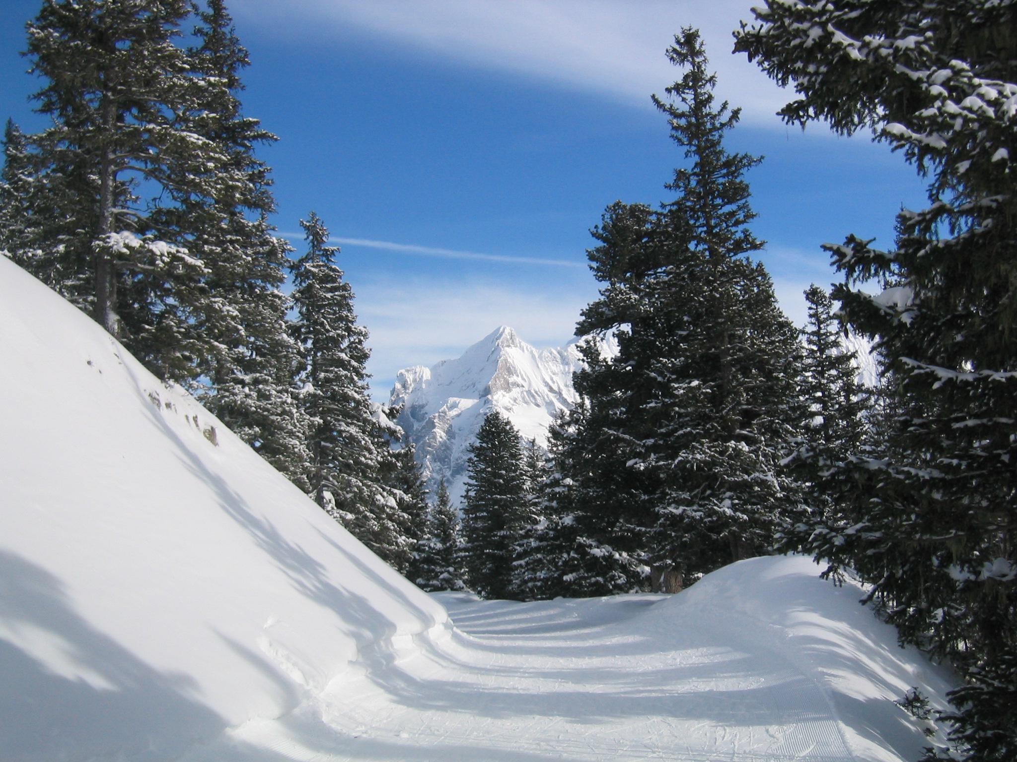 Kleine Scheidegg