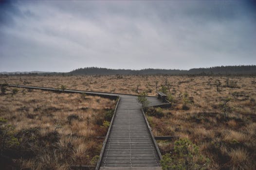 Klevaliden Nature Reserve