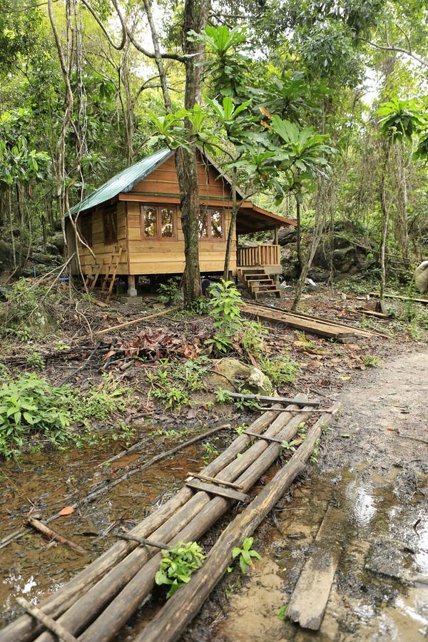 Koh Rong Jungle Zoo