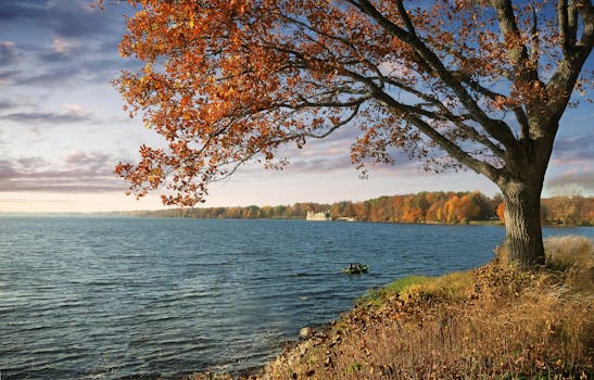 Koknese Castle Ruins