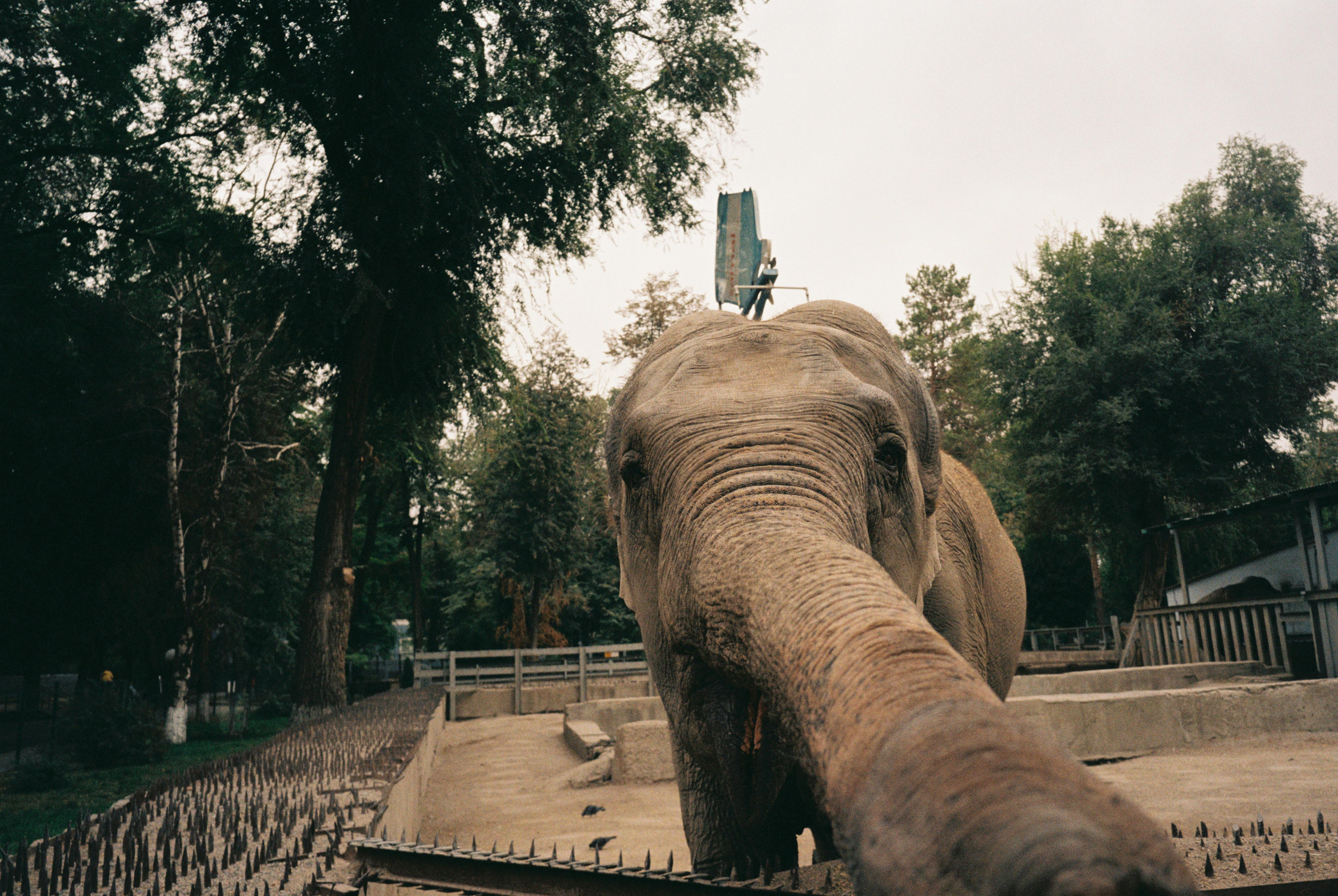 Kokshetau Zoo