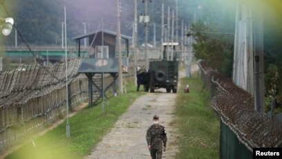 Korean Demilitarized Zone (DMZ)