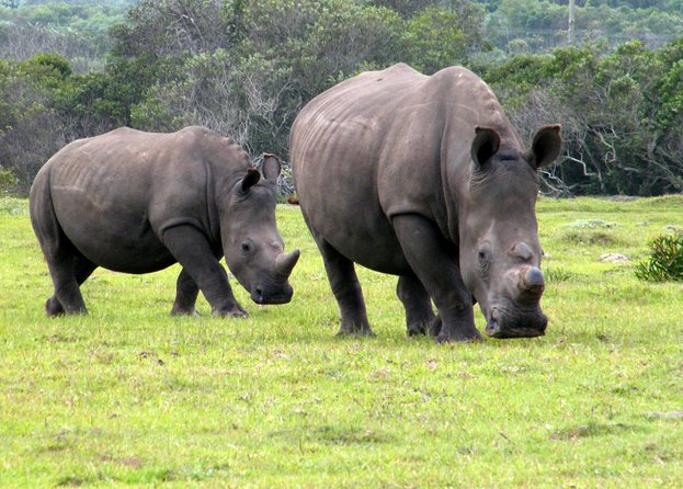 Kragga Kamma Game Park