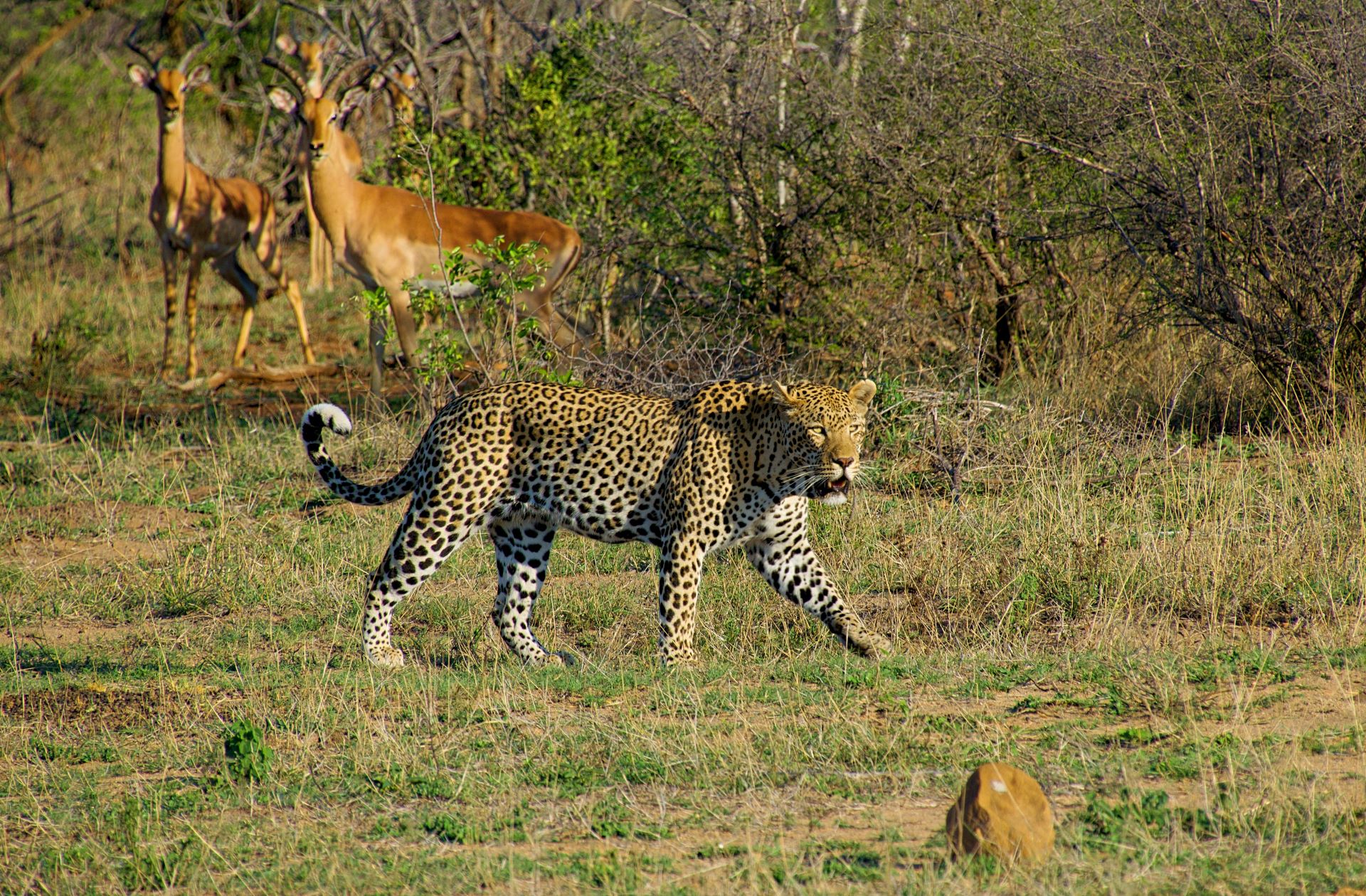 Kruger National Park Interpretive Centre